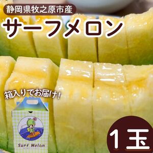 メロン マスクメロン 1玉 サーフメロン フルーツ 果物 高級 ギフト プレゼント 贈答 おいしい ハウス栽培 甘い ジューシー ケーティー 静岡県 牧之原市