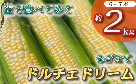 とうもろこし もぎたて ドルチェドリーム 約 2kg 6本~7本 トウモロコシ コーン 美味しい おいしい 茹でとうもろこし 焼き スープ 野菜 やさい バーベキュー BBQ 産地直送 新鮮 生鮮 食品 静岡県 牧之原市 タイラファーム