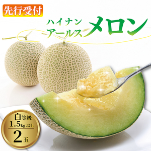 アールス メロン 2玉 1.5kg以上 令和7年度産 数量限定 めろん フルーツ 果物 予約受付 7月から順次発送 白等級 贈答用 お中元 プレゼント JA ハイナン 牧之原市 静岡県