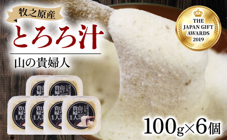 冷凍 自然薯 100% とろろ汁 山の貴婦人 100g × 6 パック セット とろろ 山芋 ヤマイモ 山いも じねんじょ 滋養強壮 お取り寄せ ギフト グルメ 贈答 人気 静岡県 牧之原市 尾白弁当
