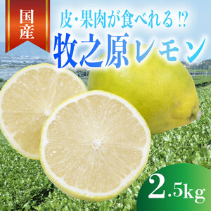 レモン 2.5kg れもん 檸檬 Lemon 柑橘類 柑橘 フルーツ 果物 酸っぱい 果肉 酸味 甘み 璃の香 防腐剤不使用 牧之原レモン 静岡県 牧之原市