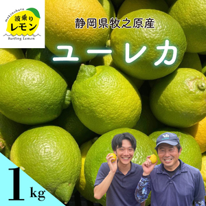 [ふるさと納税]事前受付 牧之原産 波乗りレモン ユーレカ 1kg 国産 Lemon 檸檬 柑橘類 柑橘 フルーツ 果物 酸っぱい 果肉 酸味 防腐剤不使用 静岡県 牧之原市