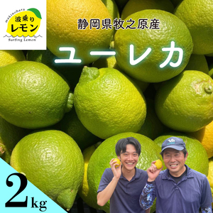 yӂ邳Ɣ[Łz Ot qVY g背 [J 2kg Y Lemon EG k k t[c ʕ _ς ʓ _ hܕsgp É qVs