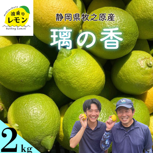 yӂ邳Ɣ[ŁzOt qVY g背 ̍ 2kg Y Lemon EG  k k t[c ʕ _ς ʓ _ hܕsgp É qVs