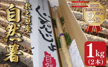 [予約受付 自然薯] 自然薯 1kg やまあい農園 静岡県 牧之原市
