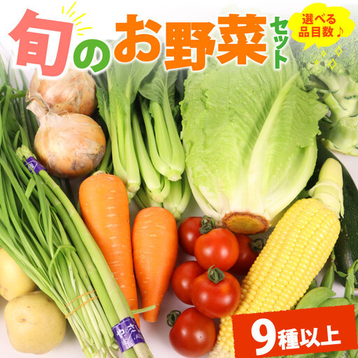 野菜セット 9品目 以上 野菜セット