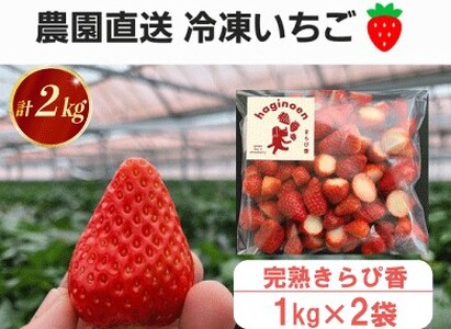冷凍 いちご 2kg 選べる 容量 苺 完熟 きらぴ香 いちご 冷凍 きらぴ香 果物 スイーツ デザート フルーツ スイーツ アイス ジャム シャーベット ベリー 氷菓 甘い 贈答 ギフト プレゼント 萩埜園 牧之原市 静岡 県