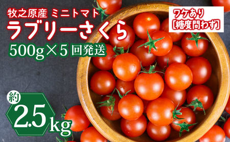 訳あり ミニ トマト フルーツ トマト ラブリーさくら うまたま 予約 受付 500g × 5回発送 計 2.5kg 山本農園 ふるなび とまと とまと とまと とまと とまと とまと