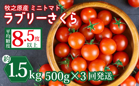 g}g \t  v1.5kg ~jg}g