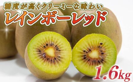 LEC 1.6kg t[c ʕ XC[c C{[bh LEC  C{[ bh LEC Yn  fU[g Mtg v[g  Y _ É qVs
