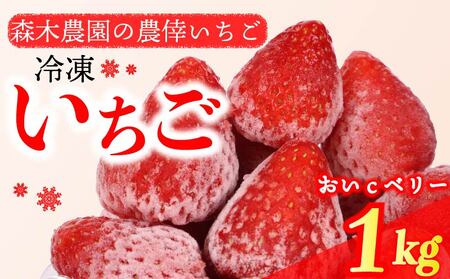 冷凍 いちご 苺 1kg以上 完熟 おいCベリー ヘタ取り いちご いちご いちご いちご