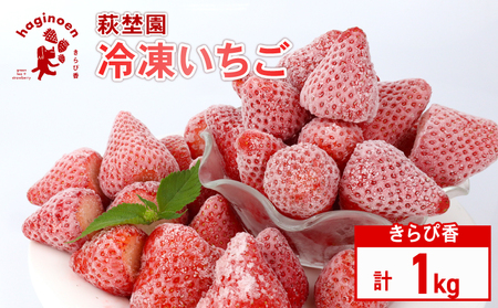 冷凍 いちご 1kg  完熟 きらぴ香  萩埜園 牧之原市 静岡