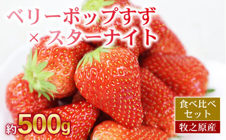 [先行予約]ベリーポップすず & スターナイト 計 500g [いちご 食べ比べ ギフト 産地直送 朝採り スイーツ フルーツ]