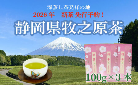[ふるさと納税] 先行予約 2026年度産 新茶 3本 お茶 静岡 緑茶 ティーバッグ 深蒸し茶 水出し 静岡茶 日本茶 飲料 ドリンク 茶葉 リラックス 健康 カフェイン 渋み うまみ 小栗農園 牧之原市 静岡県
