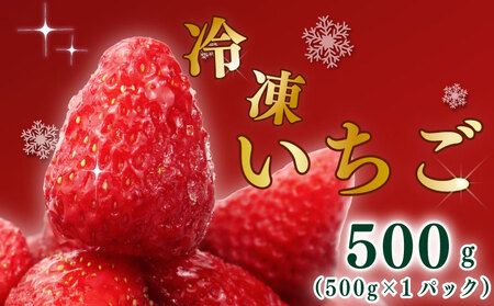 高級 冷凍 いちご 500g 極実屋 [冷凍いちご]