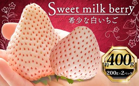 白いちご 400g 高級 Sweet milk berry フルーツ 果物 [ 白いちご ] イチゴ 苺 いちご
