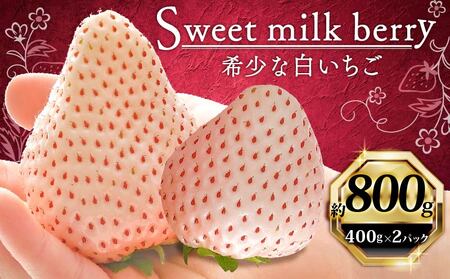 [高級]白いちご 800g いちご 白いちご