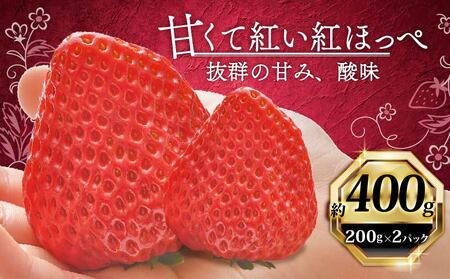 いちご 紅ほっぺ 400g [ 紅ほっぺ ] 計2パック 苺 イチゴ べにほっぺ