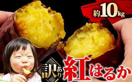 󂠂 g͂邩 10kg ܂ Tc}C