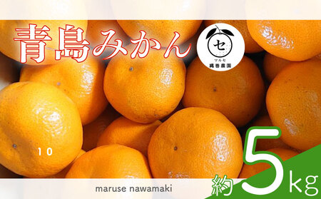 ݂  5kg ݂ }Zꊪ_ qVs