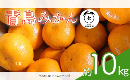 ݂  10kg ݂ }Zꊪ_ qVs