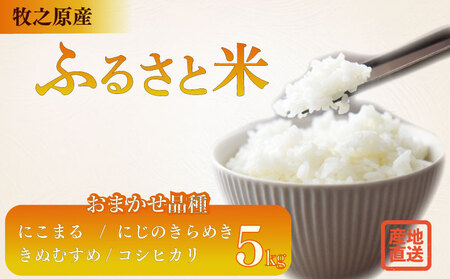  5kg i ܂ y ɂ܂ ɂ̂߂ ʂނ RVqJ zqVs ˃t@[