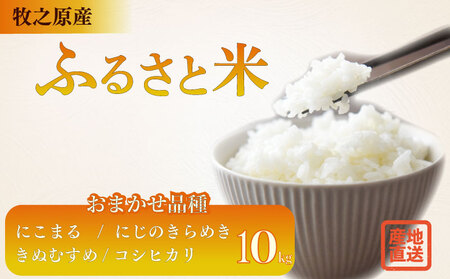  10kg i ܂ y ɂ܂ ɂ̂߂ ʂނ RVqJ zqVs ˃t@[