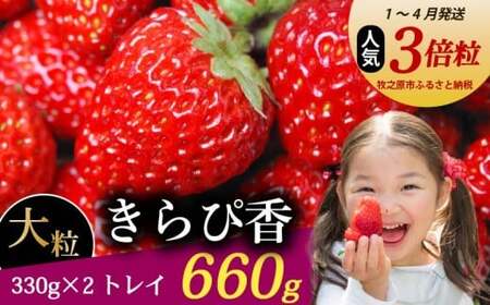 [1〜4月発送] きらぴ香 660g以上 いちご 330g×2パック 静岡限定品種 イチゴ [農倖いちごボックス]