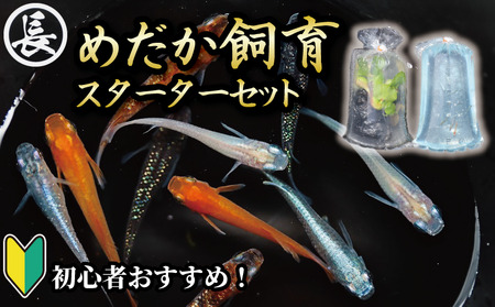 [メダカ] スターター セット アクアリウム めだか