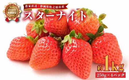 [ 2026年2月中旬から順次発送 ]いちご スターナイト 1kg 予約受付 静岡県 牧之原市 有限会社ヤマセン