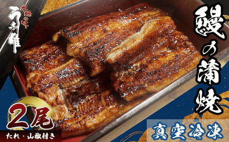 [国産 うなぎ]冷凍 うなぎ 2尾 贈答用 のし対応可