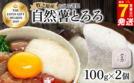 [7日以内発送]自然薯 とろろ 100 g × 2 パック とろろ 尾白弁当