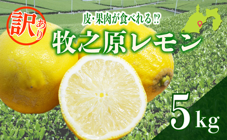 [訳あり 国産 レモン]レモン 5kg わけあり れもん 檸檬 牧之原市 タタラ商店