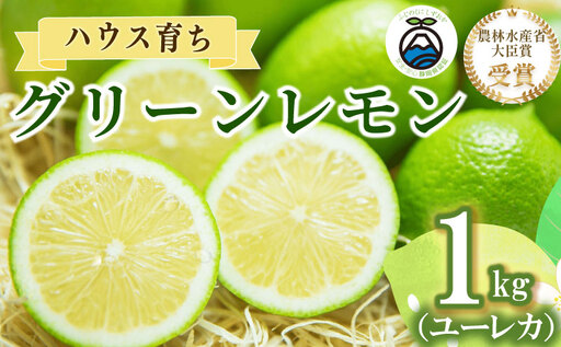 [農林水産大臣賞 先行予約 国産 レモン] グリーンレモン 1kg 大関農園 静岡県 牧之原市