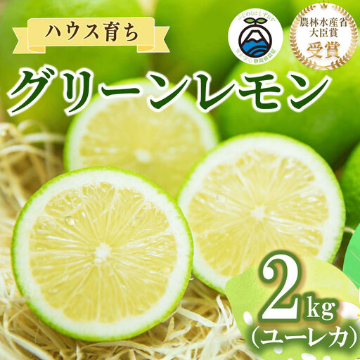 【農林水産大臣賞  先行予約 国産 レモン】グリーンレモン 2kg 大関農園  静岡県 牧之原市