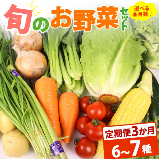 [朝採れ]定期便 3か月 野菜セット 6~7品目 以上 お野菜 季節 丸新柴本製茶 静岡 県 牧之原市