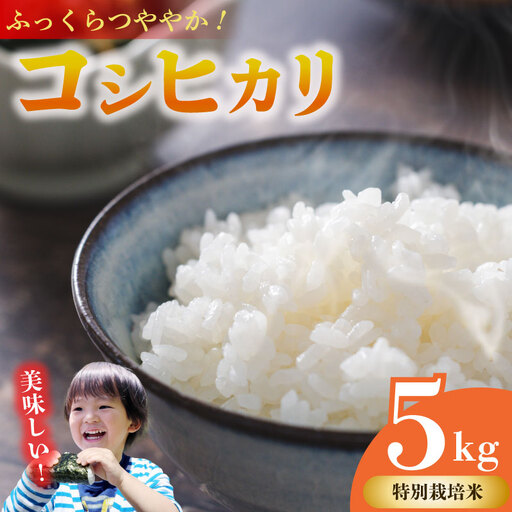 コシヒカリ 5kg 牧之原市 静岡県 山本耕業