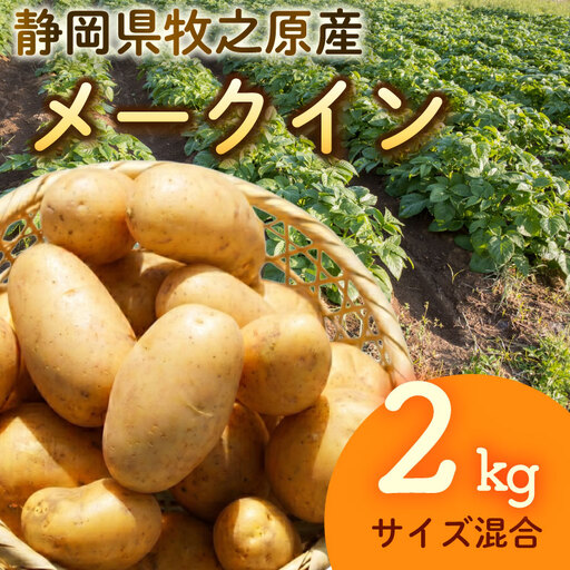 [先行予約 2027年3月順次発送 国産 じゃがいも]掘りたてメークイン 2kg 新じゃが 丸新柴本製茶 静岡 県 牧之原市