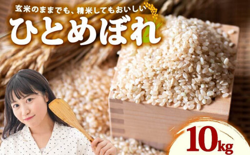 078-8-2[玄米] ひとめぼれ 玄米 | 10kg 令和8年産 玄米 静岡県 牧之原市 大石農園