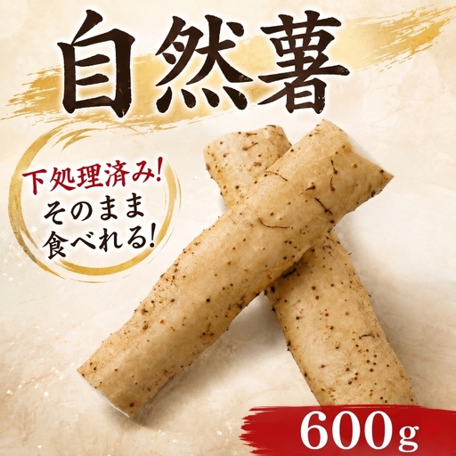 【7日以内発送】 自然薯 600g とろろ じねんじょ 【自然薯】 尾白弁当