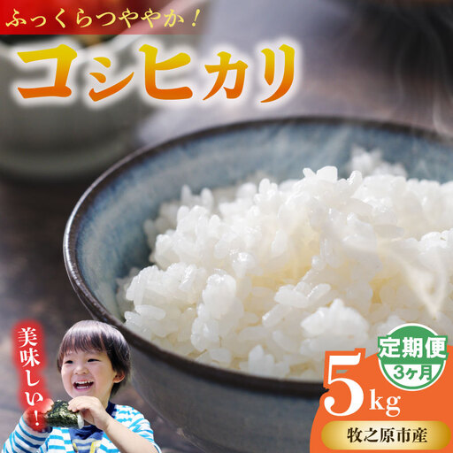 [3ヶ月定期便] コシヒカリ 5kg × 3回 無洗米 牧之原市 静岡県 山本耕業