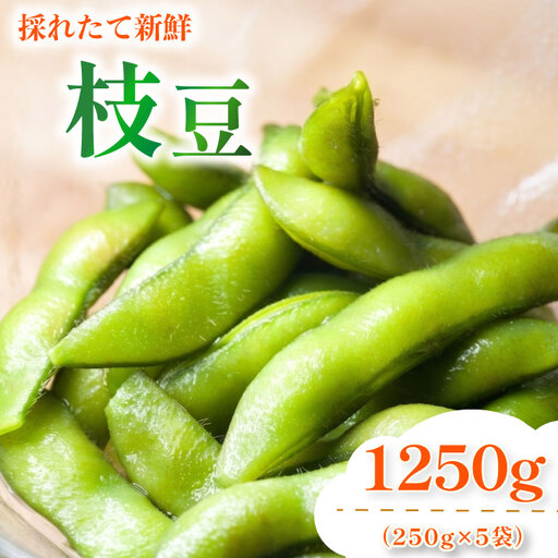 [6月順次発送 枝豆 5袋] 採れたて濃厚! 枝豆 旬 濃厚 丸新柴本製茶 静岡 県 牧之原市