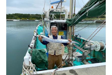 釣り船 海宝丸 乗船券 釣り物:真鯛・イサキ・カサゴ