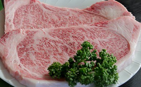 遠州夢咲牛 ロースステーキ肉 250g×2枚