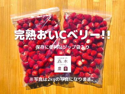 おいCべりーの返礼品 検索結果 | ふるさと納税サイト「ふるなび」