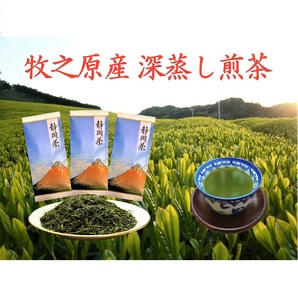 [令和7年5月より新茶出荷] 牧之原産 深蒸し 煎茶 「赤富士」3本セット お茶 茶 深蒸し 煎茶 旬 日常 のし 熨斗 贈答 ギフト 静岡県 牧之原市 澤田行平商店