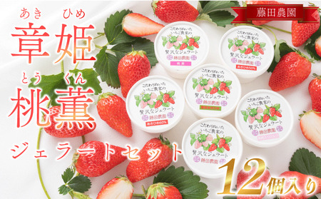 150-3 Y  ͕P O Ђ WF[g 12 ACX t[c XC[c fU[g  ʕ Xgx[ Â  Z É qVs c_