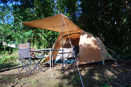 ydtI[gTCg Lvꎮ^tzXg[`FALv11h 1262