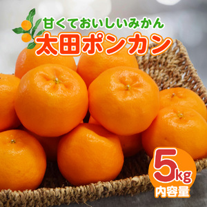 [1月配送]ポンカン 赤秀(最高級) 5kg JAふじ伊豆 静岡県産 1381 / JAふじ伊豆 太田ポンカン 赤秀 贈り物 静岡県 東伊豆町