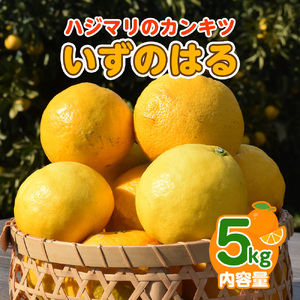 y2zẑ͂@ԏGiōj@5kg@JAӂɓ@ÉY 1382 ^ JAӂɓ ̂͂ ԏG 蕨 É ɓ